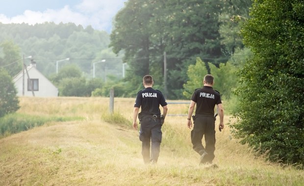 Zwłoki kobiety znalezione w polu kukurydzy 