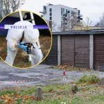 Zwłoki kobiety znalezione w walizce. Wiadomo, kto za tym stoi