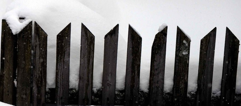 Zwłoki mężczyzny znaleziono przy ogrodzeniu jednego z domów /Darek Delmanowicz /PAP