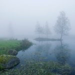 Zwłoki w stawie. Co wydarzyło się w Łowęcicach?