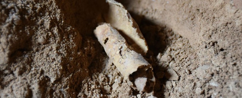 Zwój pergaminu znaleziony w jaskini /fot. Oren Gutfeld /materiały prasowe