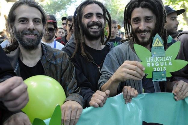 Zwolennicy legalizacji marihuany cieszą się z decyzji rządu /Sandro Pereyra  /PAP/EPA