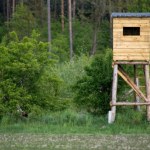 Zwrot w sprawie okresowych badań myśliwych. Jest ważny głos poparcia