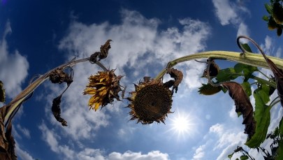 Zwrotnikowe upały i gwałtowne burze w Polsce. Synoptycy ostrzegają