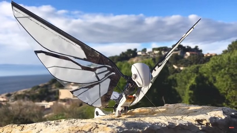 Zwykłe drony to przeszłość. Tak wygląda MetaFly, bioniczny dron przyszłości [FILM] /Geekweek
