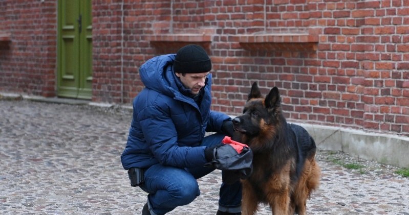 Życie komisarza Sochonia (Jacek Knap) zawiśnie na włosku /Źródło: AIM