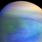 Życie na Wenus pochodzi z Ziemi?