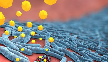 Życie w świecie mikroorganizmów to nieustanna wojna - czym są antybiotyki?