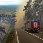 Życie wraca do Puszczy Solskiej. Nagranie po pożarze daje nadzieję 