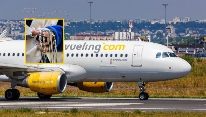 Żydowskie dzieci wyrzucone z samolotu. Skandal w Walencji