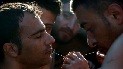 Żydzi za ograniczeniem liczby migrantów. Obawiają się wzrostu antysemityzmu