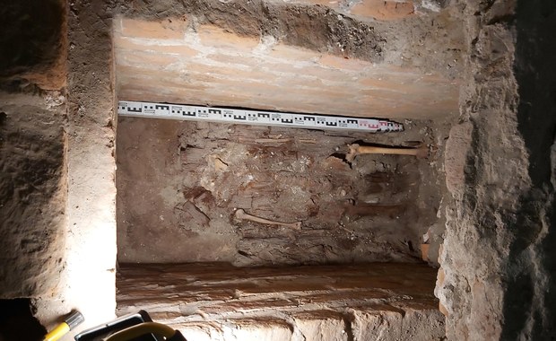 Zygmunt Stary pochował obok brata swoją kochankę? Nowe odkrycie w krypcie Jana Olbrachta