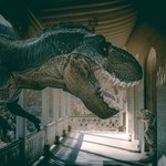 Żyliśmy z dinozaurami, Słońce okrąża Ziemię - wierzy w to mnóstwo ludzi