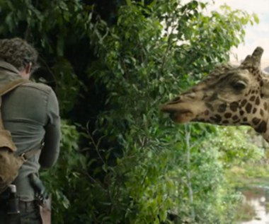 ​Żyrafy w serialu The Last of Us. Co oznaczają i czego są symbolem?
