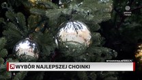 Żywa czy sztuczna? Wybór najlepszej choinki