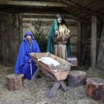 Żywa szopka w Krakowie. Świąteczna tradycja powraca