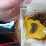 Żywe skorpiony zamiast narzędzi ogrodowych