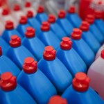 Żywi się ropą naftową. Ta bakteria działa niczym płyn do naczyń