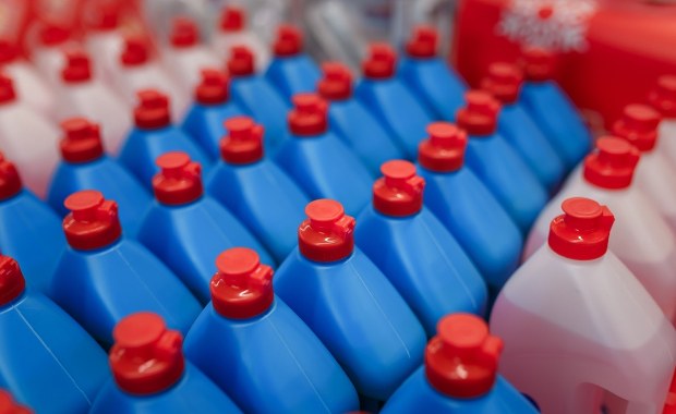 Żywi się ropą naftową. Ta bakteria działa niczym płyn do naczyń