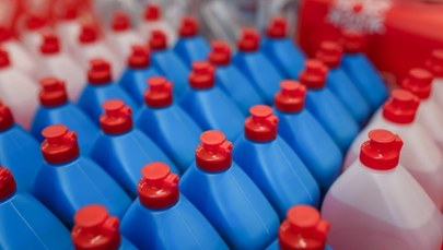 Żywi się ropą naftową. Ta bakteria działa niczym płyn do naczyń